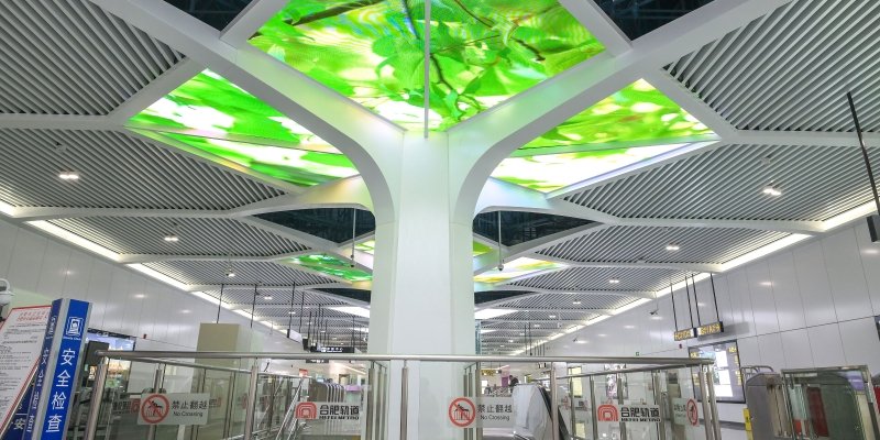 若需了解「贝慱体育app在线下载手机